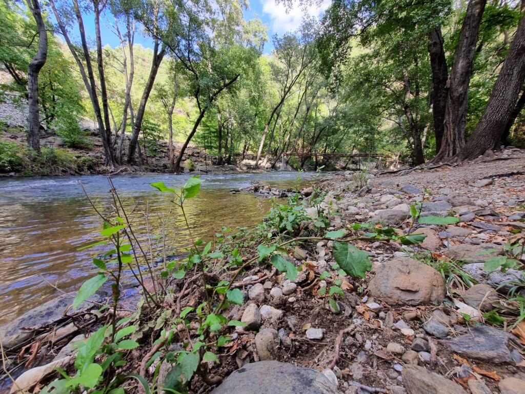 Yeşil Vadi Macera Köprüsü - Piknik Alanı